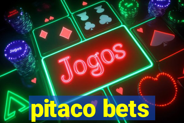 pitaco bets